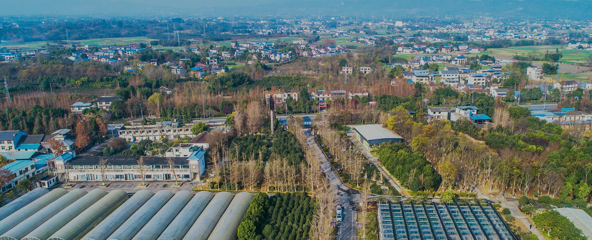 蔬菜品種育苗、示范推廣、基地種植、農(nóng)產(chǎn)品生產(chǎn)、加工 、銷(xiāo)售